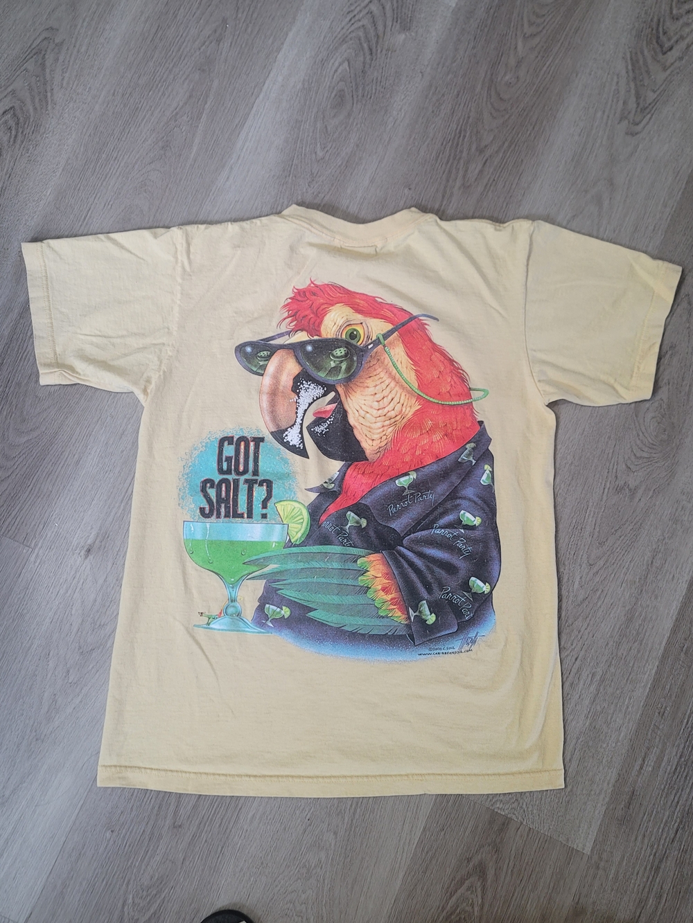 Vintage 2000 Caribbean Soul T Shirt Medium Yellow Got Salt Parrot Margarita USA